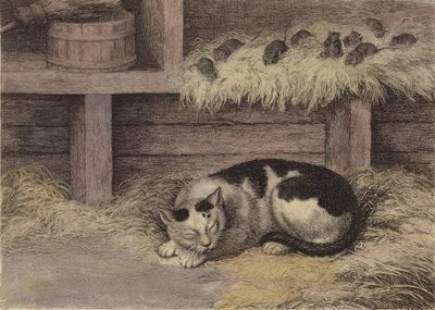 Cat and Mice in a Barn by English School