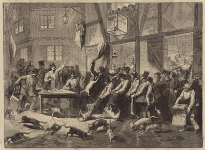 Cat racing at Liege by English School