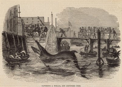 Catching a Whale off Deptford Pier by English School