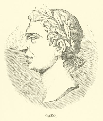 Cato by English School