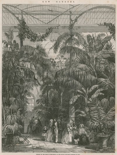 Centre of the Great Palm House at the Royal Botanic Gardens of Kew by English School