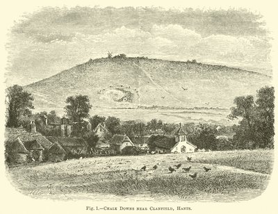 Chalk Downs near Clanfield, Hants by English School