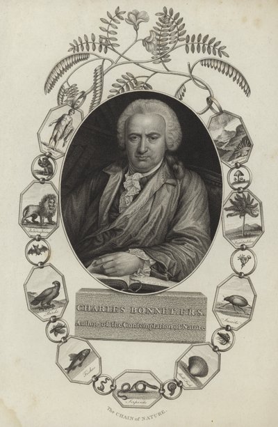 Charles Bonnet by English School