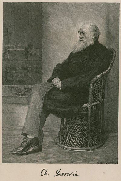 Charles Darwin by English School
