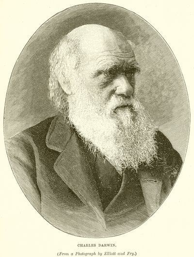 Charles Darwin by English School