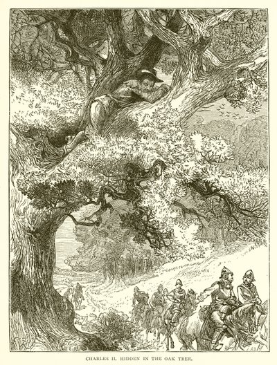 Charles II Hidden in the Oak Tree by English School