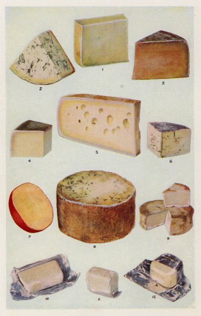 Cheddar; Gorgonzola; Double Gloster; Parmesan; Gruyere; Roquefort; Dutch; Stilton; Camembert; St Ives; Cream by English School