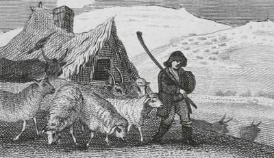 Cheviot Shepherds by English School