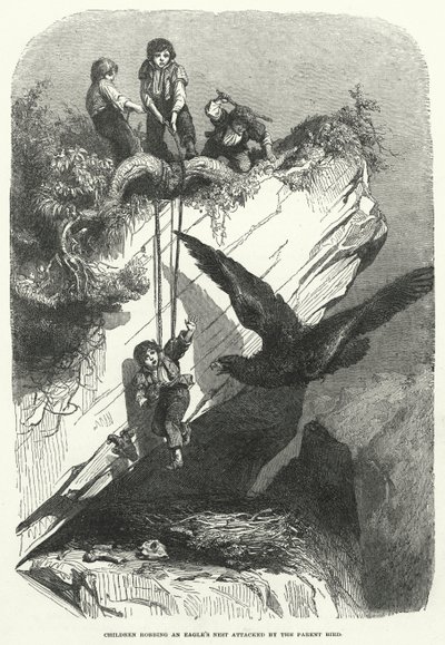 Children Robbing an Eagle