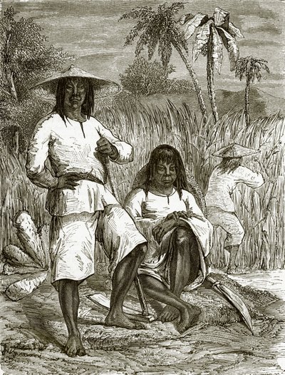 Chinese Coolies in Havana by English School
