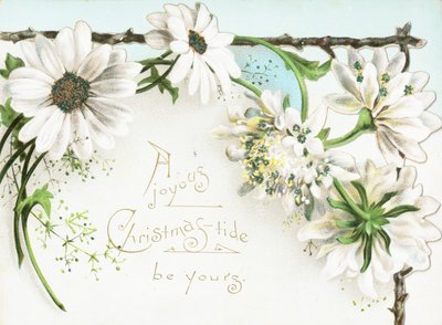 Christmas Flowers by English School