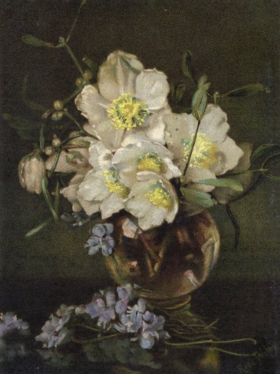 Christmas Roses by English School