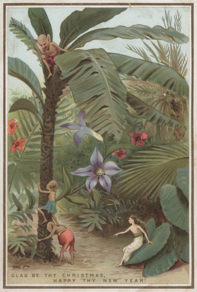 Christmas card by English School