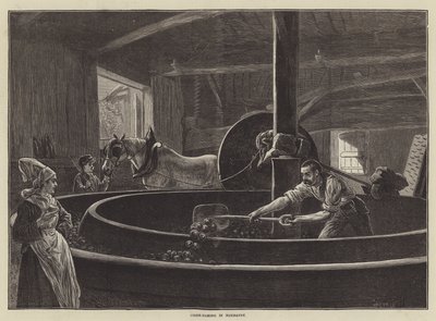 Cider-Making in Normandy by English School