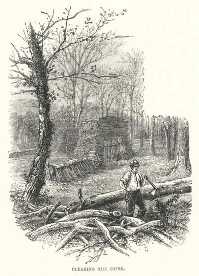 Clearing the Copse by English School