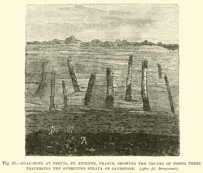 Coal-Mine at Treuil, St Etienne, France, Showing the Trunks of Fossil Trees Traversing the Overlying Strata of Sandstone by English School