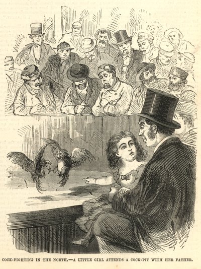 Cock-Fighting in the North by English School