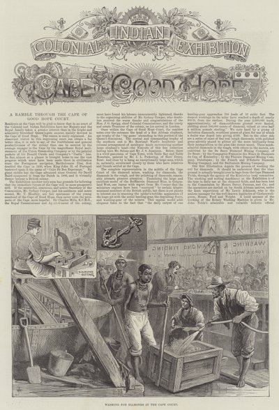 Colonial and Indian Exhibition, Cape of Good Hope by English School