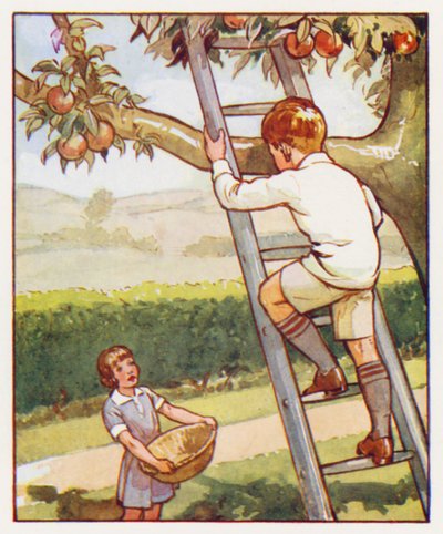Commands: Climb up the ladder carefully by English School