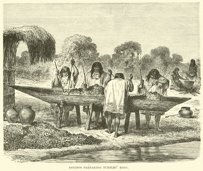 Conibos preparing turtle eggs by English School