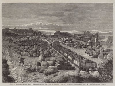 Cotton Bales lying at the Bombay Terminus of the Great Indian Peninsula Railway ready for Shipment to England by English School