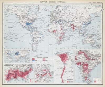 Cotton, growing countries by English School