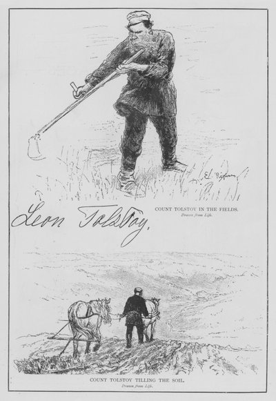 Count Tolstoy by English School