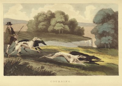 Coursing by English School
