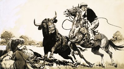 Cowboys in the Australian Outback Try to Rope a Bull by English School