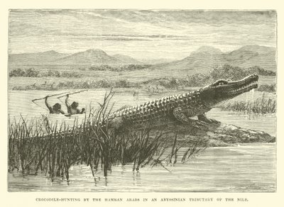 Crocodile-Hunting by the Hamran Arabs in an Abyssinian Tributary of the Nile by English School