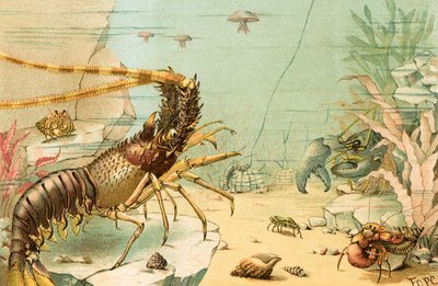 Crustaceans by English School
