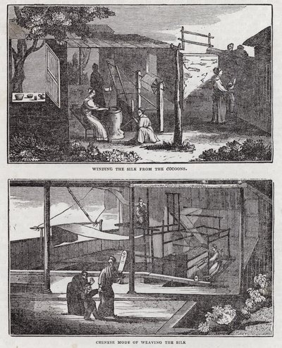 Cultivation of silk by English School