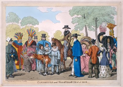 Curiosities and Monstrosities of 1822 by English School