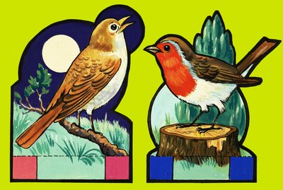 Cut out images of a Nightingale and Robin by English School