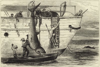 Cutting Up a Shark at Port Louis by English School
