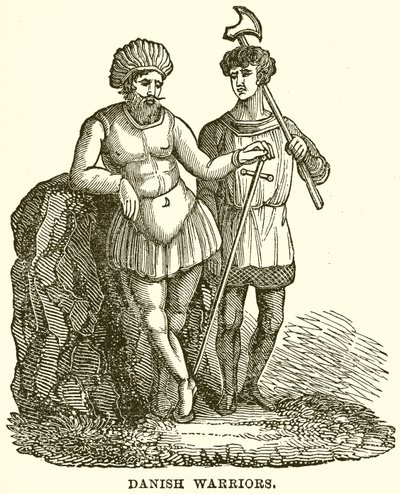Danish Warriors by English School