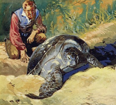 Darwin wondered why the giant tortoises of the Galapagos Islands differed on each island by English School