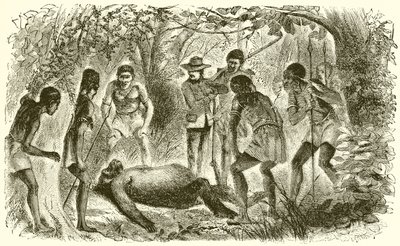 Death of Du Chaillu