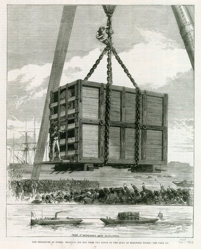 Departure of Jumbo by English School