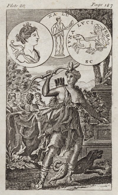 Diana by English School