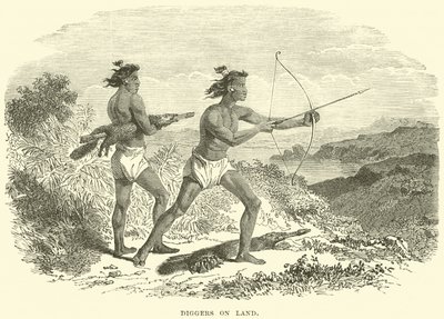 Diggers on land by English School