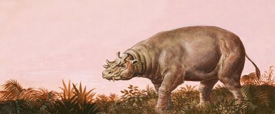 Dinosaur by English School
