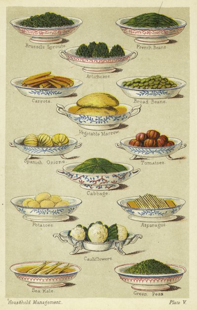 Dishes of Vegetables by English School