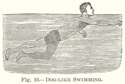 Dog-Like Swimming by English School