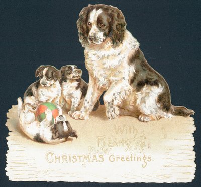 Dog and Puppies by English School