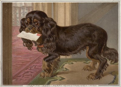 Dog carrying a letter in its mouth by English School