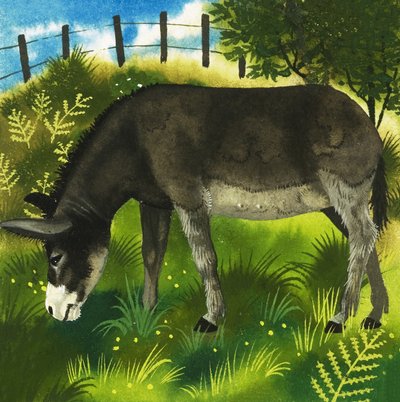 Donkey by English School