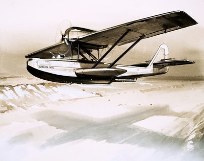 Dornier Wal, twin-engined German flying boat by English School