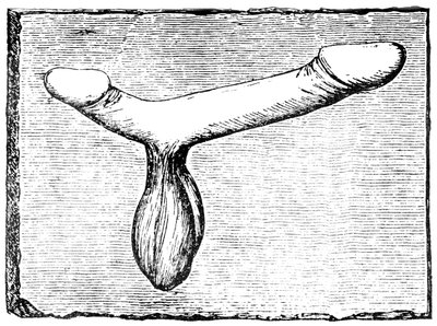 Double phallus from the lintel of a vomitorium (exit passage) at the Nimes amphitheatre by English School