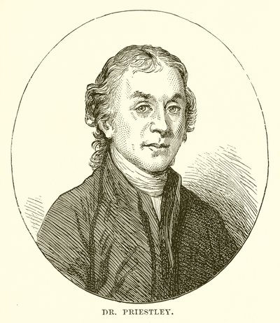 Dr. Priestley by English School
